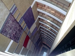 2012516185026685_1